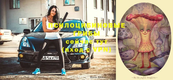 мяу мяу мука Кулебаки