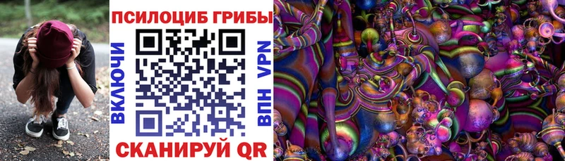 Галлюциногенные грибы мицелий  купить  цена  Россошь 