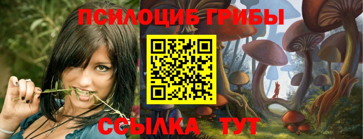 Псилоцибиновые грибы ЛСД  Вход с VPN  Россошь  Галлюциногенные грибы Psilocybine cubensis 