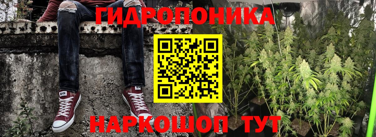 Конопля THC 21%  Вход с VPN  Бошки Шишки план  МАРИХУАНА сатива  Россошь 